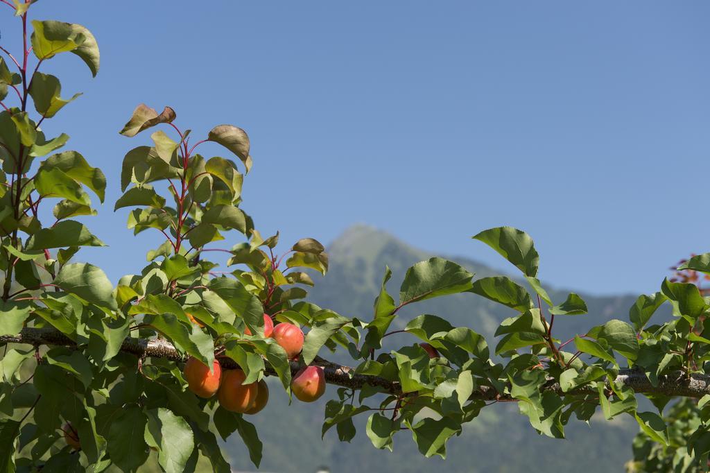 Pension Etschland Τιρόλο Εξωτερικό φωτογραφία